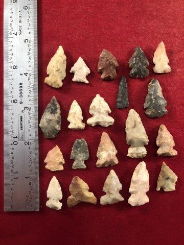20 BIRDPOINTS     INDIAN ARTIFACT ARROWHEAD (1 of 1)