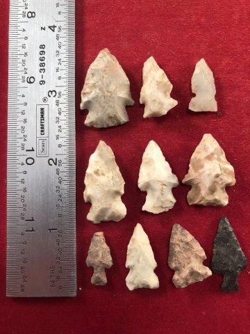 10 BIRDPOINTS     INDIAN ARTIFACT ARROWHEAD (1 of 1)
