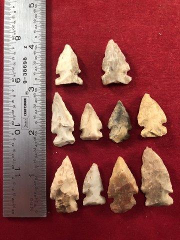 10 BIRDPOINTS     INDIAN ARTIFACT ARROWHEAD (1 of 1)