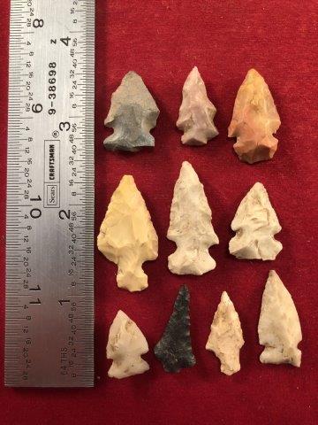10 BIRDPOINTS     INDIAN ARTIFACT ARROWHEAD (1 of 1)