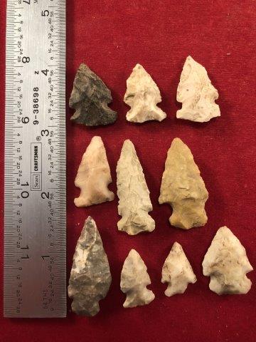 10 BIRDPOINTS     INDIAN ARTIFACT ARROWHEAD (1 of 1)