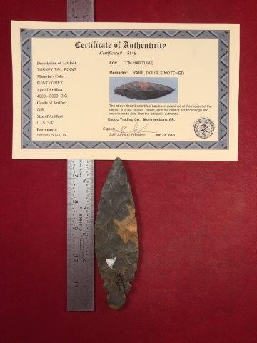 TURKEY TAIL POINT      WITH COA (1 of 5)