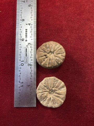 ENGRAVED EAR SPOOLS     INDIAN ARTIFACT ARROWHEAD (1 of 3)
