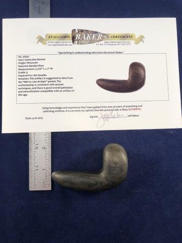 GENICULATE BANNERSTONE  WITH COA (1 of 6)