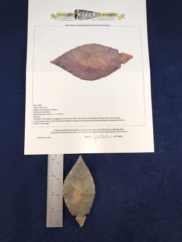 TURKEY TAIL     WITH COA (1 of 5)