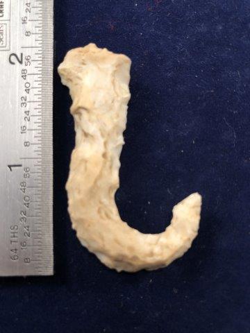 FISH HOOK     INDIAN ARTIFACT ARROWHEAD (1 of 3)