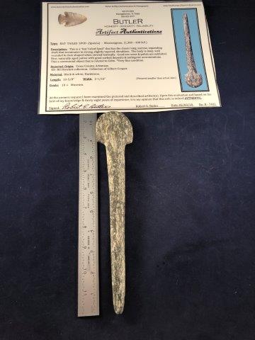 RAT TAILED SPUD     WITH COA (1 of 8)