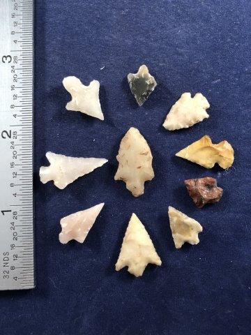 10 ARKANSAS BIRD POINTS               INDIAN ARTIFACT (1 of 1)