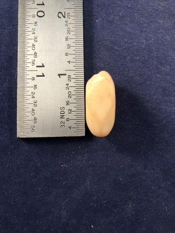STONE BEAD               INDIAN ARTIFACT ARROWHEAD (1 of 5)