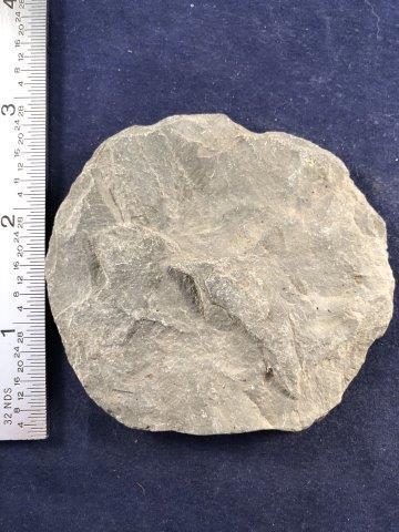 SUNDISK SLATE     INDIAN ARTIFACT ARROWHEAD (1 of 3)