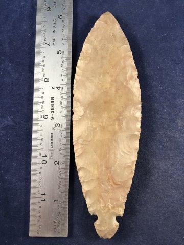 TURKEY TAIL     INDIAN ARTIFACT ARROWHEAD (1 of 3)