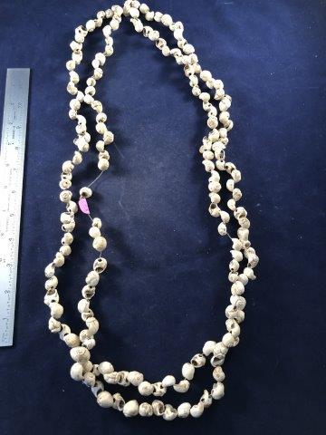 LARGE STRAND OF CONCH SHELL BEADS     INDIAN ARTIFACT (1 of 1)