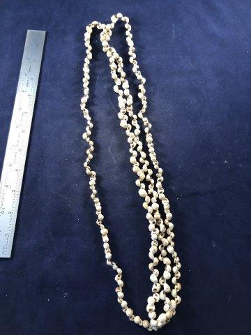 LARGE STRAND OF CONCH SHELL BEADS     INDIAN ARTIFACT (1 of 1)