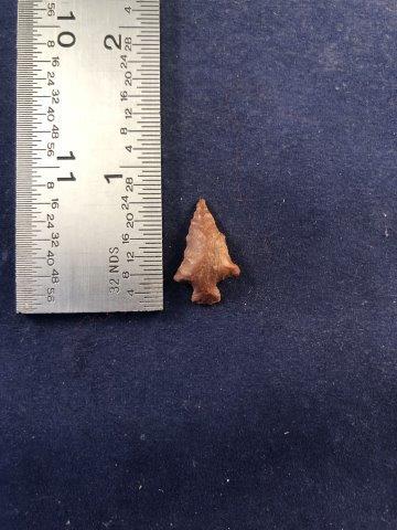ARKANSAS BIRD POINT     INDIAN ARTIFACT ARROWHEAD (1 of 3)