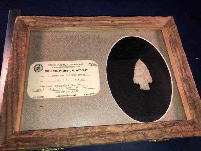 HAMILTON STEMMED POINT WITH FRAME & MUSEUM CARD (1 of 1)