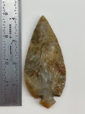 TURKEY TAIL      INDIAN ARTIFACT ARROWHEAD (1 of 4)