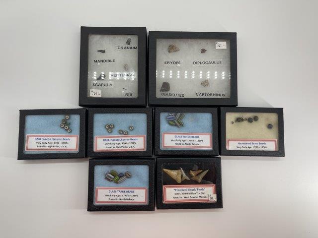 8 FRAMES - BEADS, FOSSILS, SHELLS, ETC..      INDIAN (1 of 1)