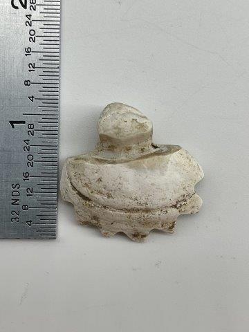 RARE SHELL BEAD FROM SPIRO      INDIAN ARTIFACT ARROWHEAD (1 of 5)