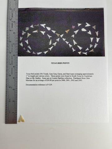TEXAS BIRD POINT      INDIAN ARTIFACT ARROWHEAD (1 of 5)