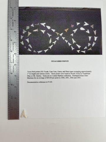TEXAS BIRD POINT      INDIAN ARTIFACT ARROWHEAD (1 of 5)