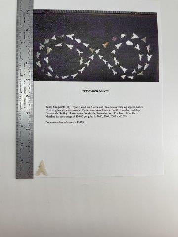 TEXAS BIRD POINT      INDIAN ARTIFACT ARROWHEAD (1 of 5)