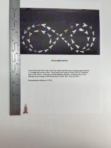 TEXAS BIRD POINT      INDIAN ARTIFACT ARROWHEAD (1 of 5)