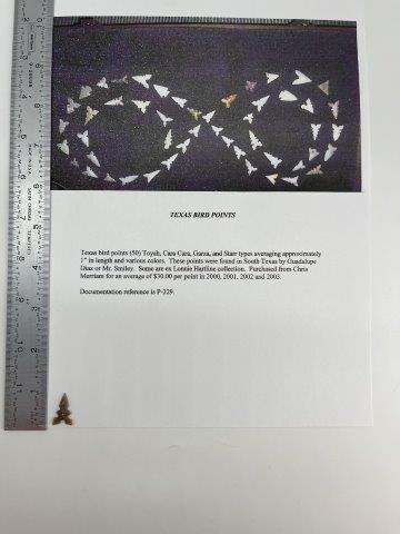 TEXAS BIRD POINT      INDIAN ARTIFACT ARROWHEAD (1 of 5)