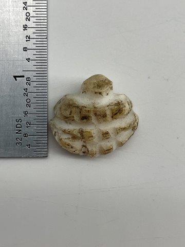 SPIRO SHELL BEAD      INDIAN ARTIFACT ARROWHEAD (1 of 5)
