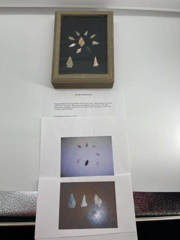 11 BIRD POINTS      INDIAN ARTIFACT ARROWHEAD (1 of 3)