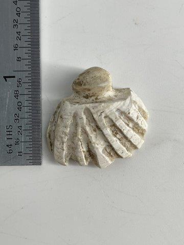 RARE SHELL BEADS FROM SPIRO  INDIAN ARTIFACT ARROWHEAD (1 of 3)