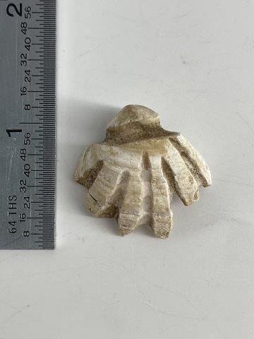 RARE SHELL BEADS FROM SPIRO  INDIAN ARTIFACT ARROWHEAD (1 of 3)