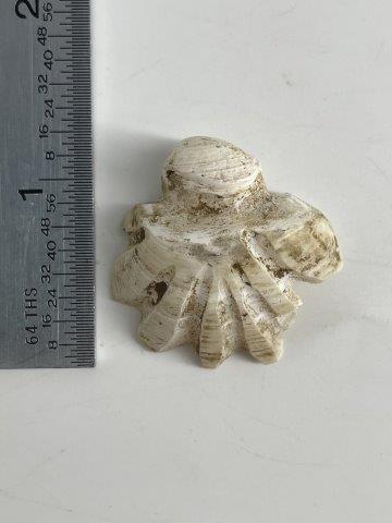 RARE SHELL BEADS FROM SPIRO  INDIAN ARTIFACT ARROWHEAD (1 of 3)