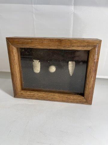 FRAME OF 3 OKLAHOMA POINTS  INDIAN ARTIFACT ARROWHEAD (1 of 1)