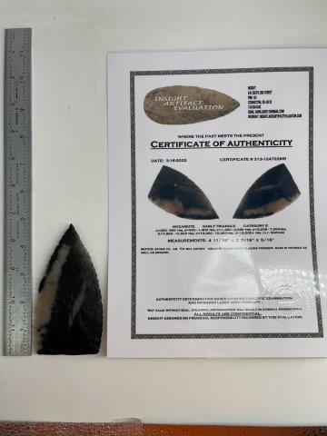 EARLY TRIANGLE  WITH COA (1 of 6)