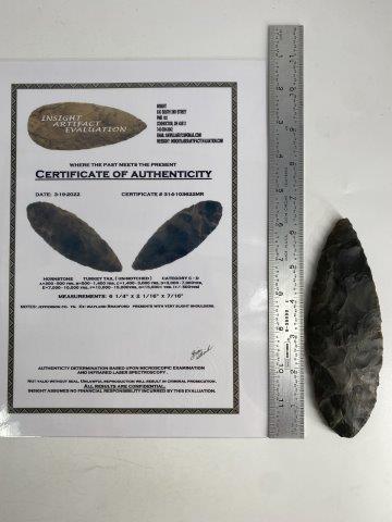 TURKEY TAIL WITH COA (1 of 5)