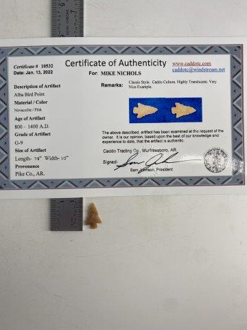ALBA BIRD POINT WITH COA (1 of 5)