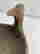 item-134844119=6