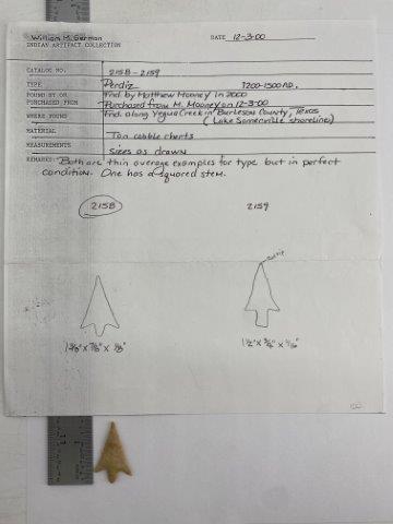 Catahoula Arrowpoint with COA (1 of 5)