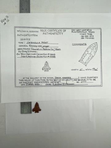 Catahoula Arrowpoint with COA (1 of 5)