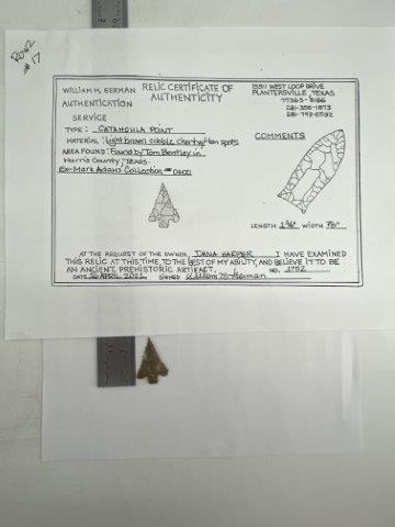 Catahoula Arrowpoint with COA (1 of 5)