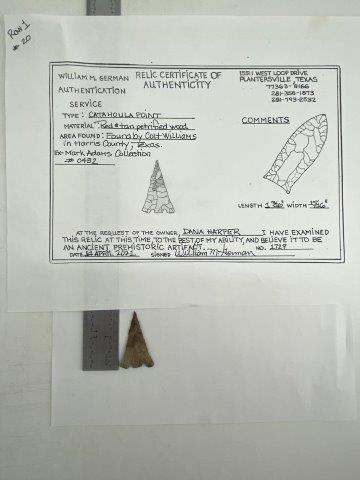 Catahoula Arrowpoint with COA (1 of 5)