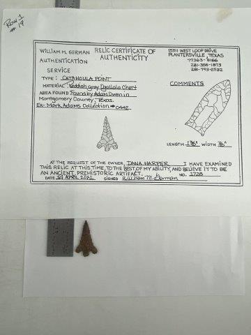 Catahoula Arrowpoint with COA (1 of 5)
