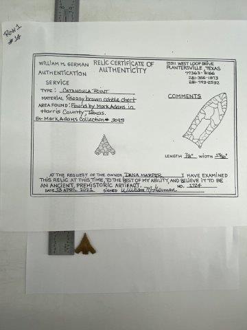 Catahoula Arrowpoint with COA (1 of 5)