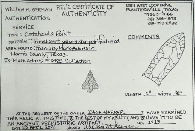 Catahoula Arrowpoint with COA (1 of 6)