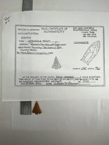 Catahoula Arrowpoint with COA (1 of 4)