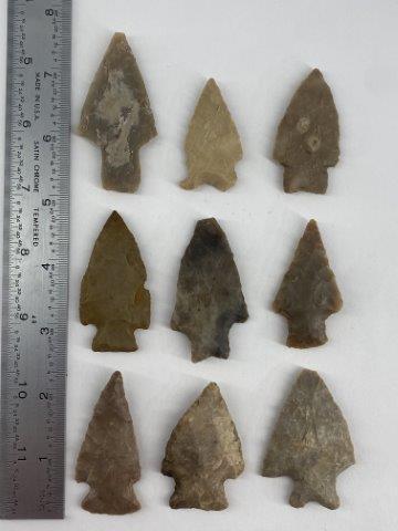 9 Texas Arrowheads          Indian Artifact Arrowhead (1 of 3)
