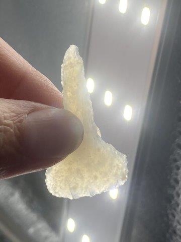 Drill Indian Artifact Arrowhead: This is 1&3/4 inches long. Each & every piece in this auction comes from the late Richard Lienau collection from Lebanon, Illinois. KEY WORDS: NATIVE AMERICAN INDIAN ARTIFACT ARTIFACTS ARROWHEAD ARROW