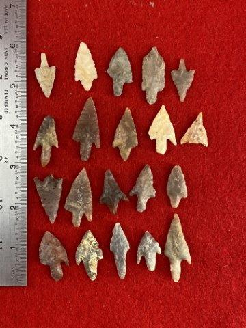 20 Neolithic Points (1 of 1)