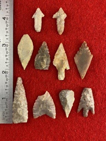 10 Neolithic Points (1 of 1)