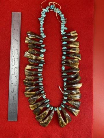 Turquoise & Buffalo Tooth Necklace Indian Artifact Arrowhead: KEY WORDS: NATIVE AMERICAN INDIAN ARTIFACT ARTIFACTS ARROWHEAD ARROWHEADS MISSISSIPPIAN QUAPAW CADDO POTTERY COINS